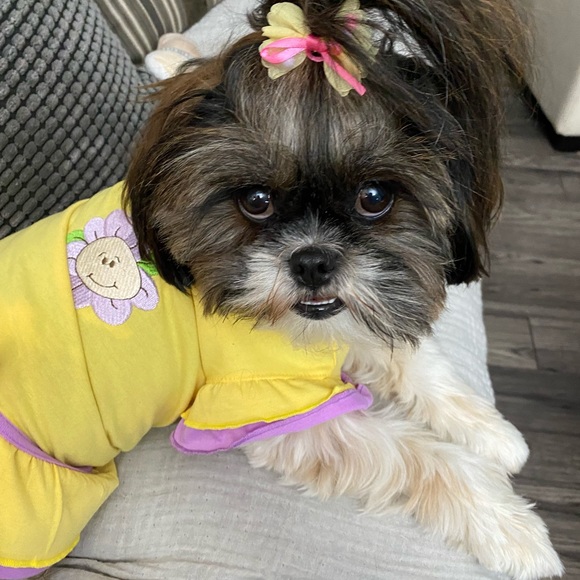 Meet your Posher, Carolyn - Picture 3 of 8